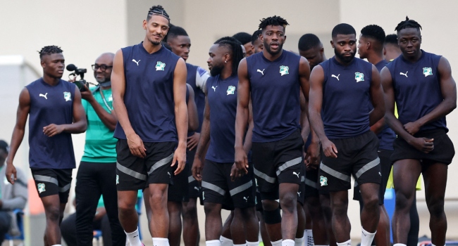 The Elephants in training